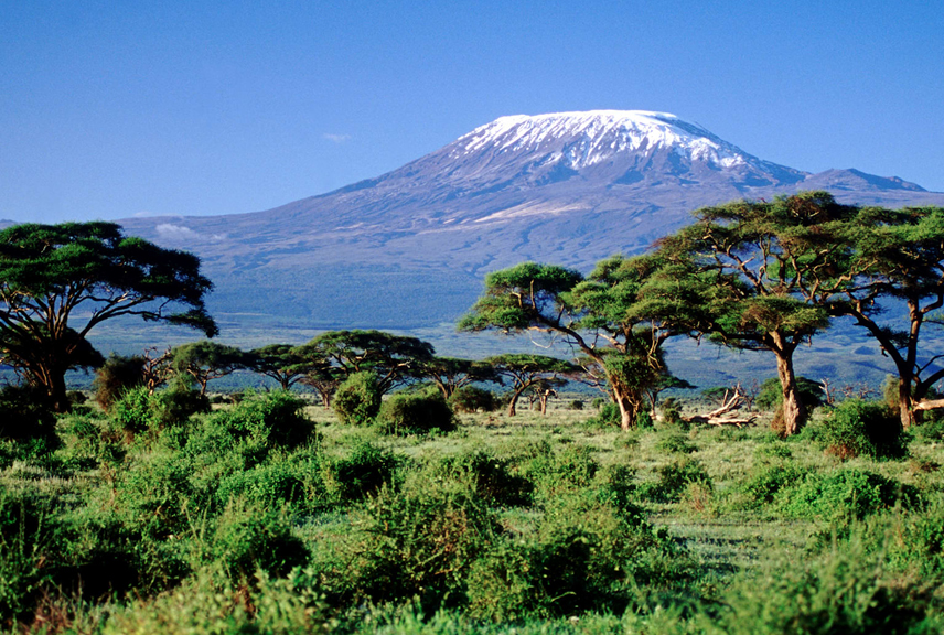kilimanjaro